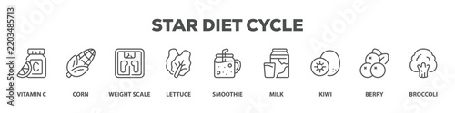 Star Diet Cycle with icon of Vitamin c, Corn, Weight scale, Lettuce, Smoothie, Milk, Kiwi, Berry, Broccoli
