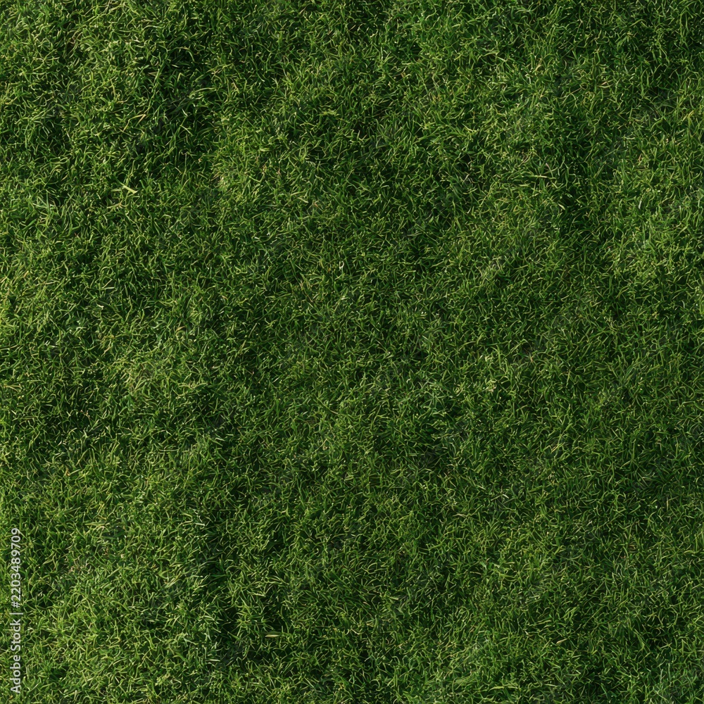 Fototapeta premium Lush green grass texture viewed from above seamless pattern