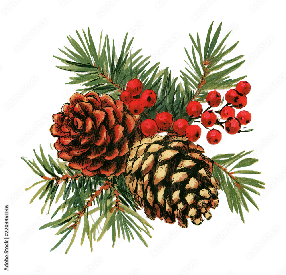 Obraz premium PNG Watercolor pine cones, evergreen needles, red berries festive botanical