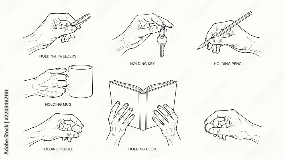 Fototapeta premium Set of hand gestures showing various ways of holding different everyday objects in line art style.