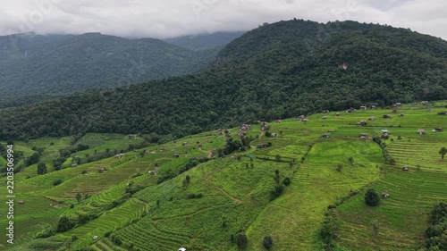 Aerial landscape view of rice terrace in the mountains