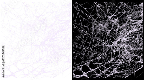 Spooky spider web texture on black and white backgrounds, tangled cobweb overlay for Halloween, creepy silk thread pattern for horror designs