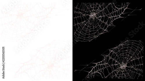 Spooky spider web border set, realistic cobweb illustrations on black and white backgrounds, gothic halloween frame elements for horror design