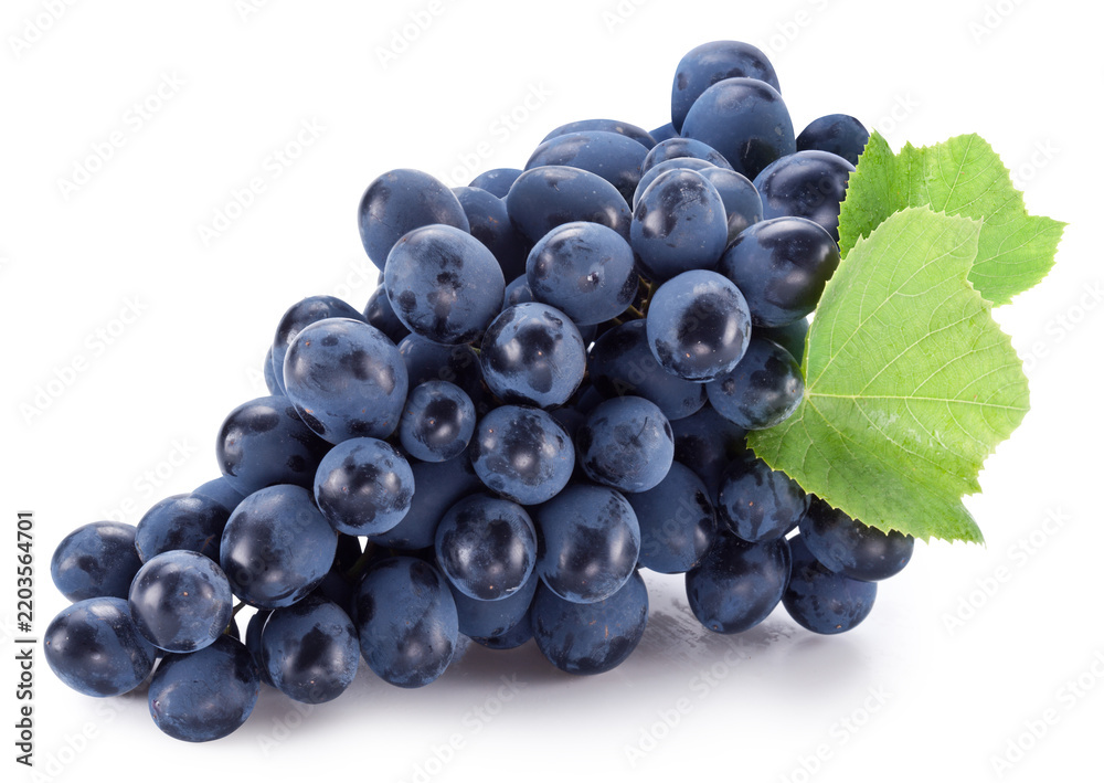 Obraz premium Cluster of dark blue purple grapes. Clipping path