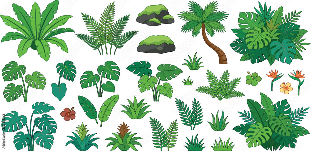 Obraz premium Tropical jungle plant vector set with palm monstera leaves isolated on white background
