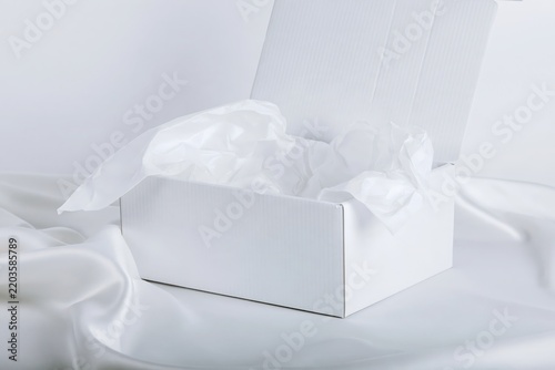 White Christmas Gift Box with Tissue on Satin