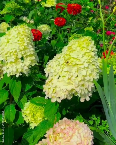 flower bed of flowers