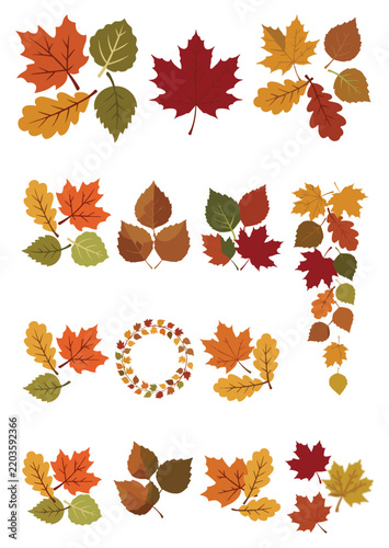 Set of Colorful Autumn Leaves Vector Elements