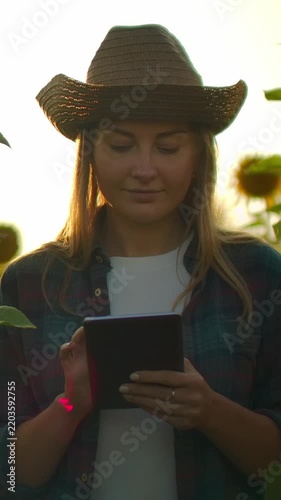 Young woman farmer using digital tablet in sunflower field at golden hour, observing crops and planning sustainable agriculture in warm natural sunlight