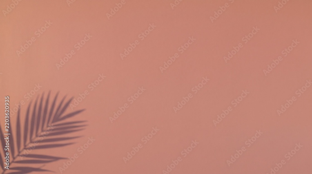 Fototapeta premium Minimalist pink terracotta wall with tropical palm leaf shadow copy space