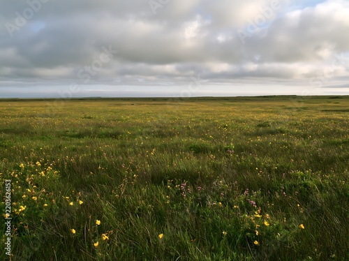 Cloudy calcareous grassland meadow with flowers