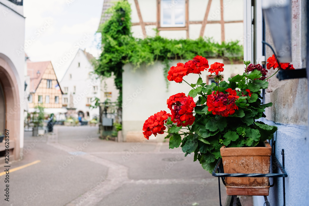 Obraz premium Flowers in a pot on a street in a historic town