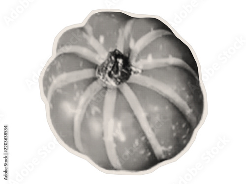 Top view of a ripe pumpkin. An irregularly shaped paper cutout of a squash.