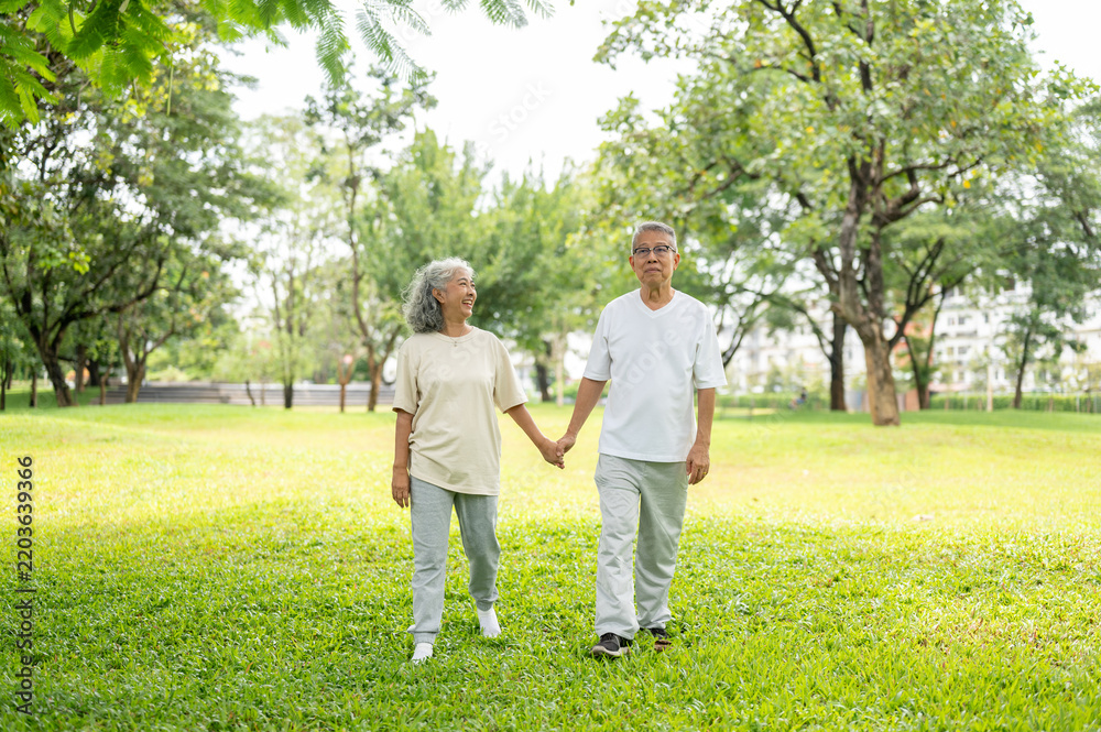 Fototapeta premium Senior Couple Holding Hands Walking Grass Outdoor Park.