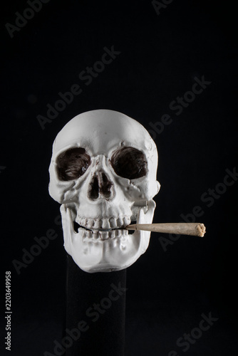 Skull holding burning joint, smoking cannabis and marijuana