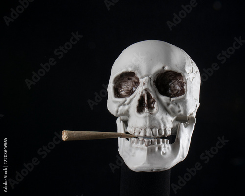 Bild auf Leinwand Skull holding a joint symbolizing addiction and mortality