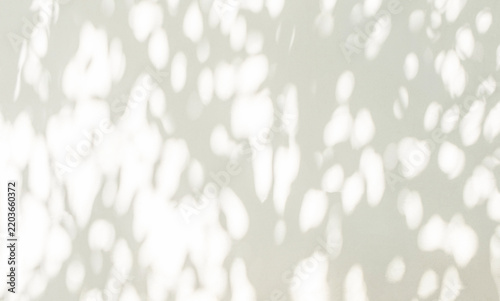 Leaf shadow and light grey background. Nature tropical leaves plant tree branch shade sunshine on wall. Sunlight on white wall texture for background wallpaper, shadows overlay effect foliage mockup