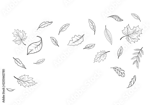 Minimalist hand drawn autumn leaves vector, falling foliage line art illustration, black and white botanical sketch for seasonal greeting cards