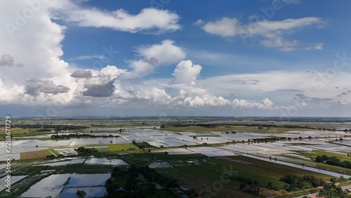 Aerial view of rice field countryside with blue sky and white clouds Agricultural Farmland