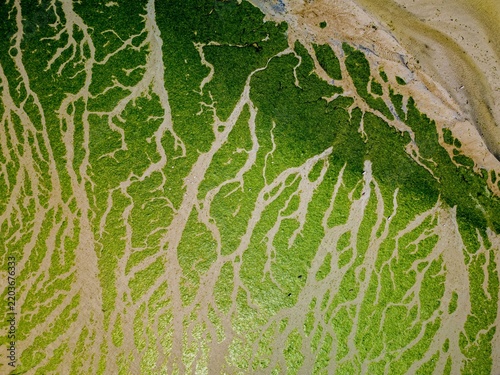 FRANCE. BRITTANY. FINISTERE 29 AERIAL VIEW OF L'HORN ESTUARY PLOUGOULM AT LOW TIDE