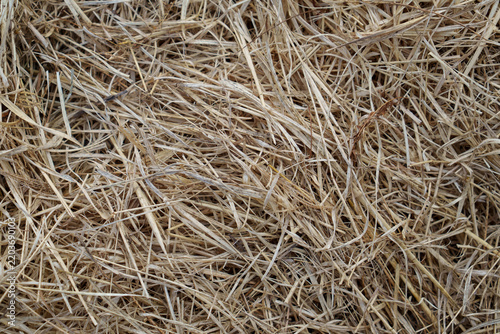 Top view of dry grass straw texture background 