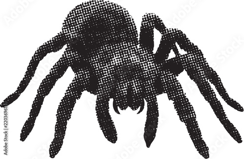 Halftone black spider isolated on white background, comic book style creepy arachnid for Halloween and design elements