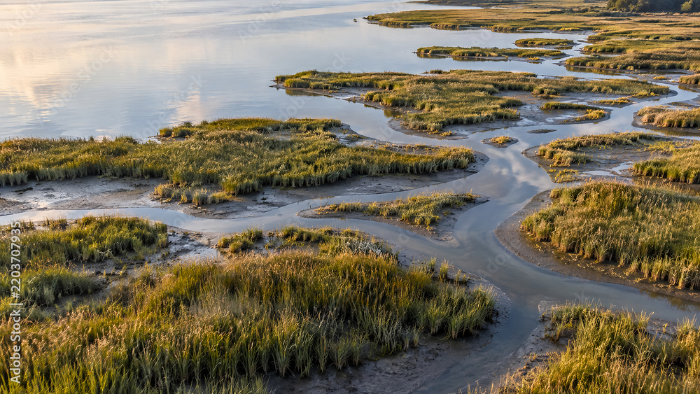 Obraz premium Branching Tidal Channels in a Salt Marsh