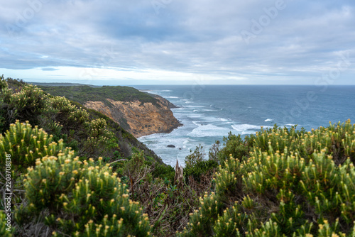 Coastal cliffs and ocean view from Cape Otway Lightstation, Australia