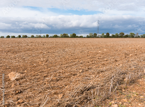 Fotografie Champ arable après récolte