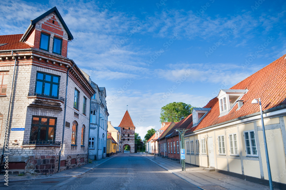 Obraz premium Medieval town gate Mølleporten (The Mill Gate) in Stege on Møn in southeastern Denmark