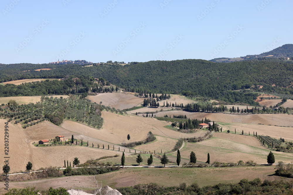 Obraz premium The rural landscape near Pienza in Tuscany. Italy