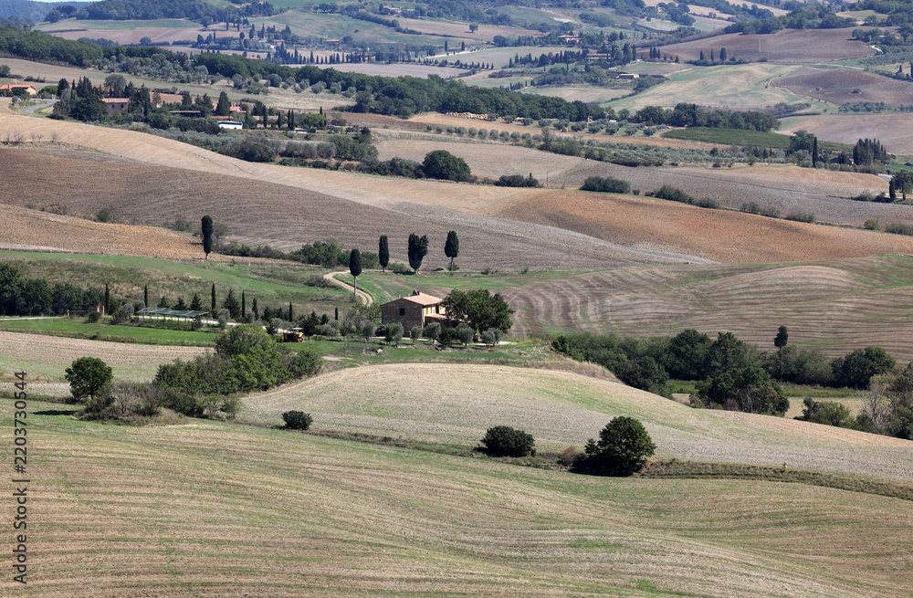 Fototapeta premium The rural landscape near Pienza in Tuscany. Italy