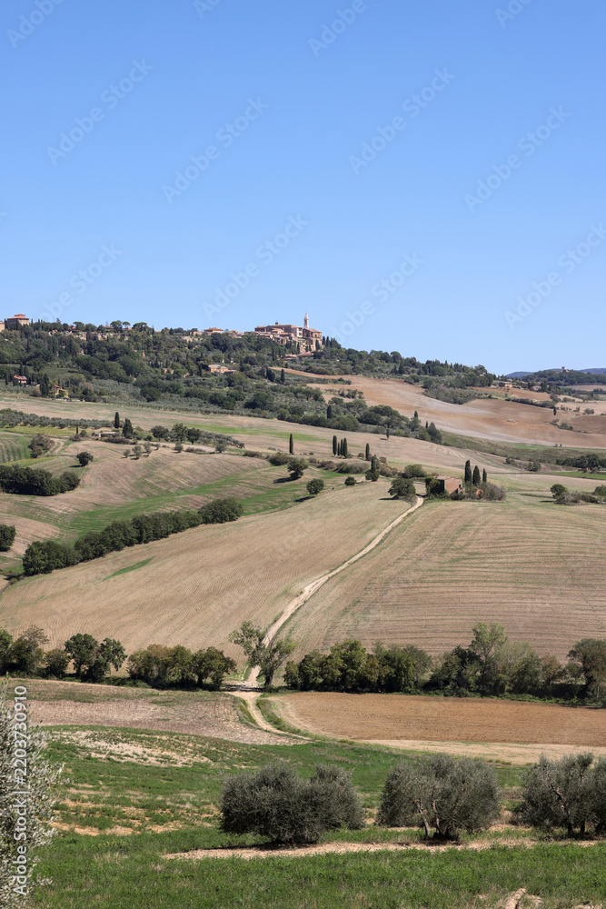 Obraz premium The rural landscape near Pienza in Tuscany. Italy