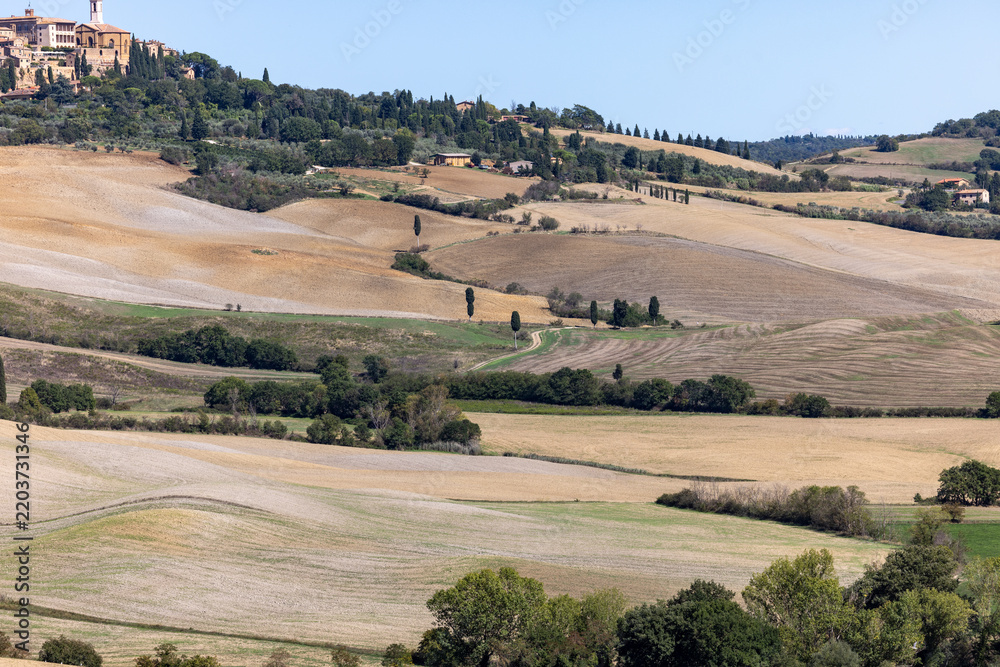 Obraz premium The rural landscape near Pienza in Tuscany. Italy