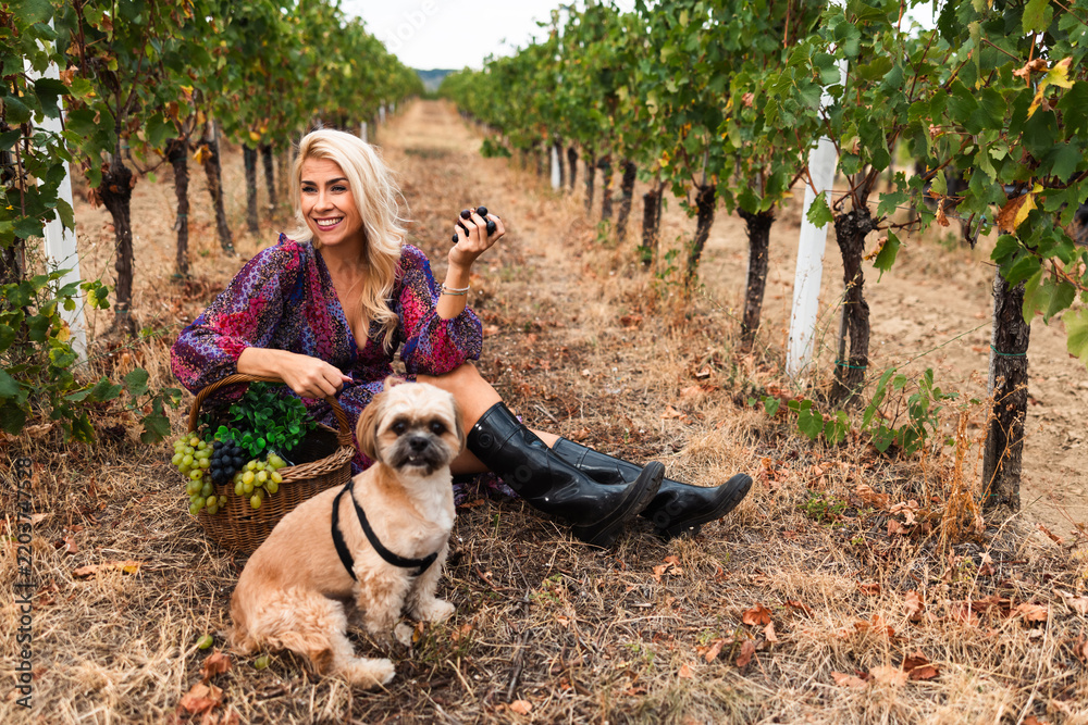 Obraz premium Woman sitting in vineyard with dog, holding grapes and basket
