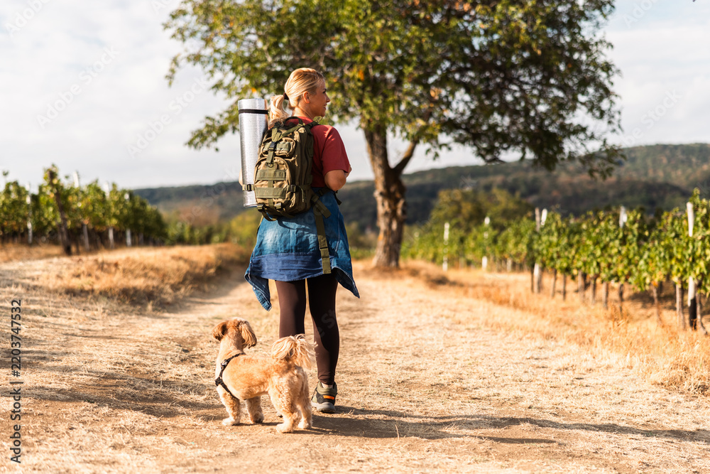Obraz premium Hiking woman with dog in vineyard during sunny day
