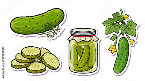 Set of cute vector stickers with fresh cucumbers, pickles, slices and plant