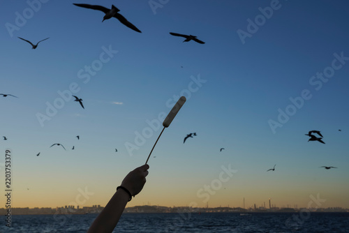 Konstfotografi A person feeds seagulls in flight with a sausage on a stick against a dusky sky, capturing a playful and dynamic coastal moment