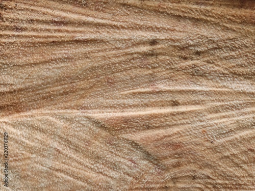 Close up view of rough cut wood surface texture background, ideal for background or design project.