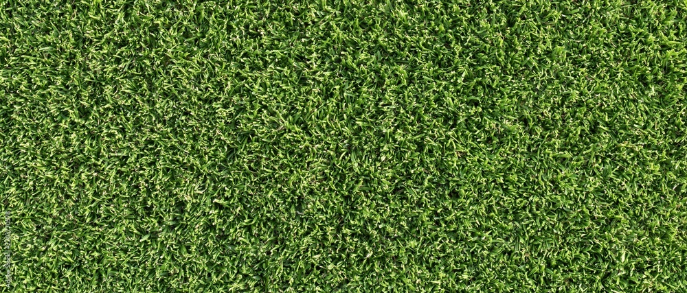 Obraz premium Top view of dense vibrant green grass texture