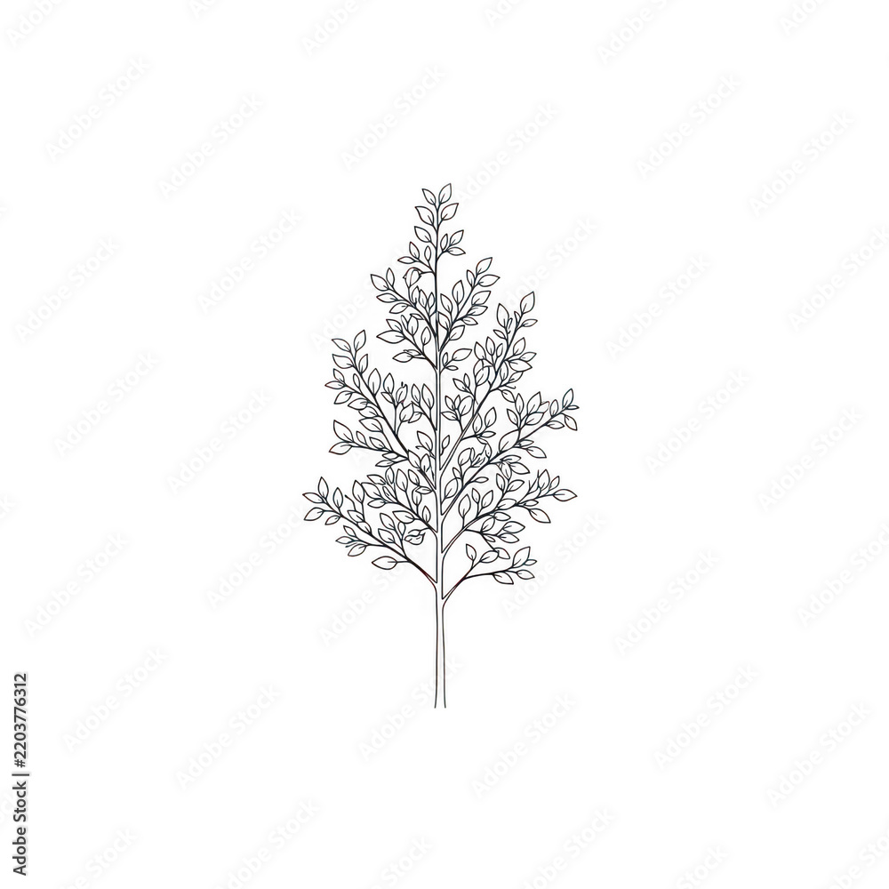Fototapeta premium Minimalist hand drawn sketch of a tall slender tree with detailed foliage.