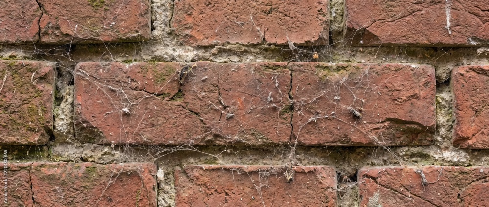 Obraz premium Cobwebs on old red brick wall texture. Vintage weathered masonry background with spiderwebs. Spooky Halloween concept