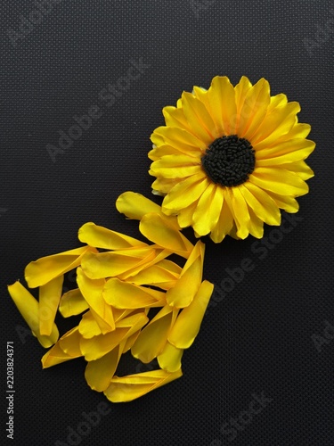 sunflower on black background handmade 