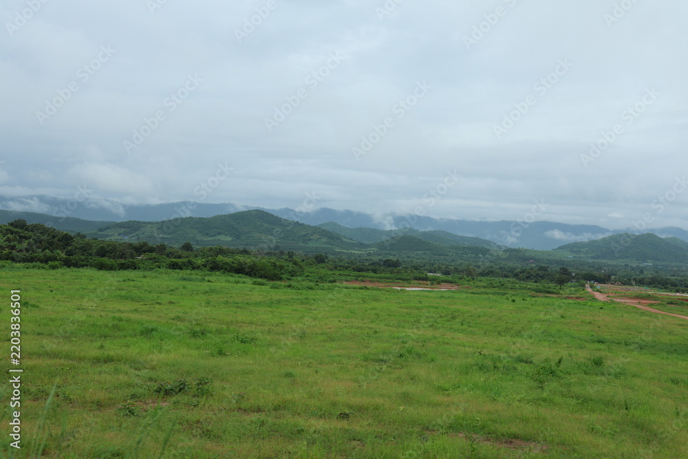 Fototapeta premium Green grassy field with mountains and clouds