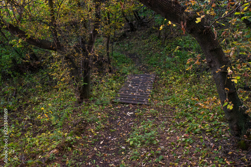 Fall colours on the Canadian prairies