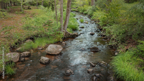 Cuadro en lienzo stream in the forest