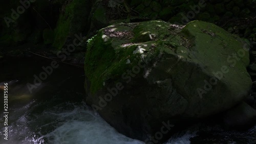 Moss-covered rocks and a clear-flowing stream
