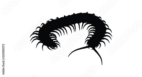 Black centipede silhouette against a white background silhouette