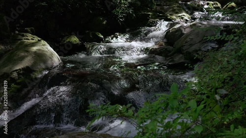 A gently flowing stream in the forest