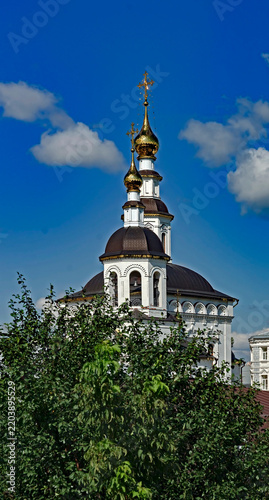 Картината върху платно St